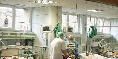 bagdasar arseni jpeg