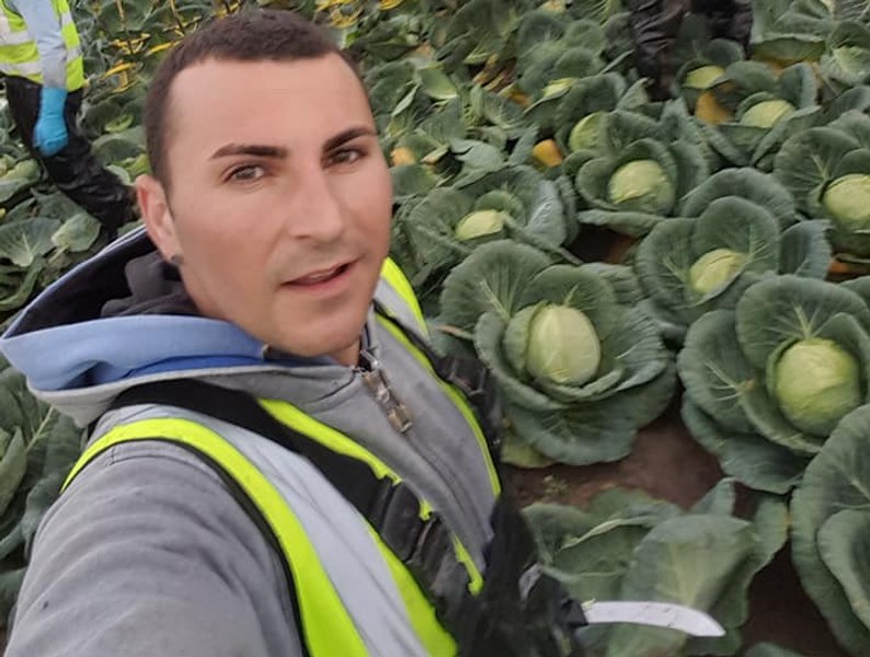 Cât câștigă un român în agricultură, în Anglia. „E greu, dar sunt destul de bine plătit și nu mi-aș schimba jobul pentru nimic în lume”