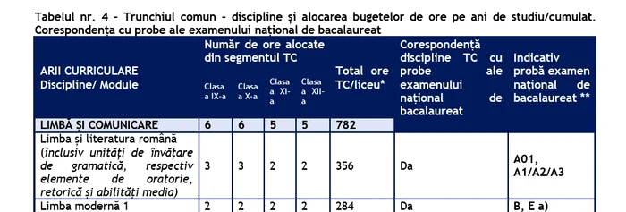 ore trunchi comun romana si limba moderna jpg