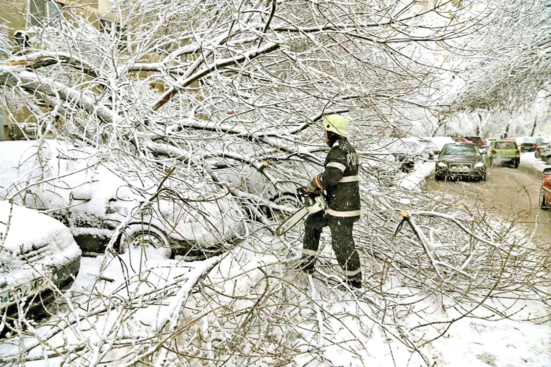 
    Aşa arăta Volkswagenul Polo  al bucureşteanului după  „confruntarea” cu arborele  