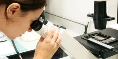 S-a descoperit cauza pierderilor de memorie