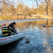 parcul romanescu craiova jpg