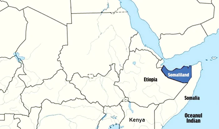 “Orice veterinar visează să aibă grijă de gheparzi”, spune Angela IonicăFotografii: Arhivă persoanlă