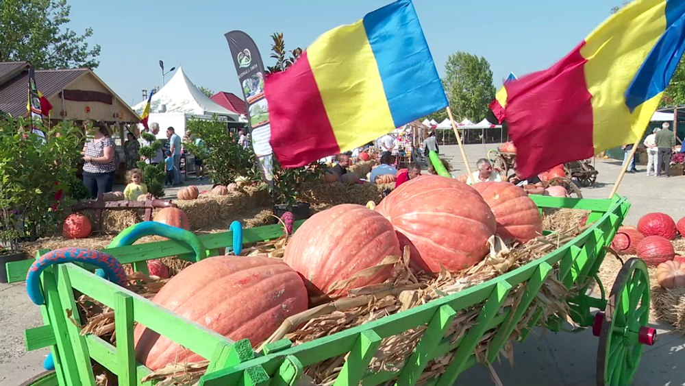 Festivalul dovleacului, într-un sat din Buzău. Leguma este bună pentru supe, tocănițe, plăcinte VIDEO