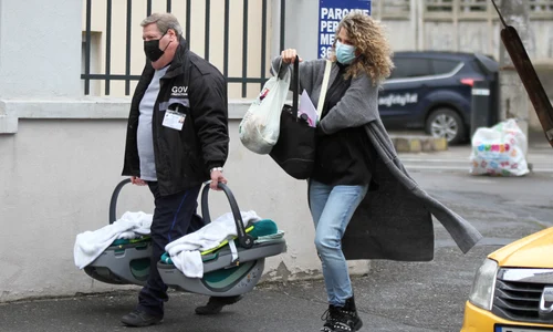 alina laufer externare jpeg