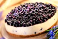 tarta cu branza si afine jpeg
