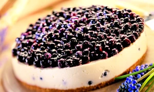 tarta cu branza si afine jpeg