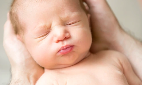 portrait newborn hold palms jpg