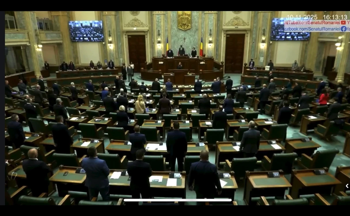 A fost ținut un moment de reculegere în plenul Senatului, în memoria Mihaelei. FOTO: Captură Video