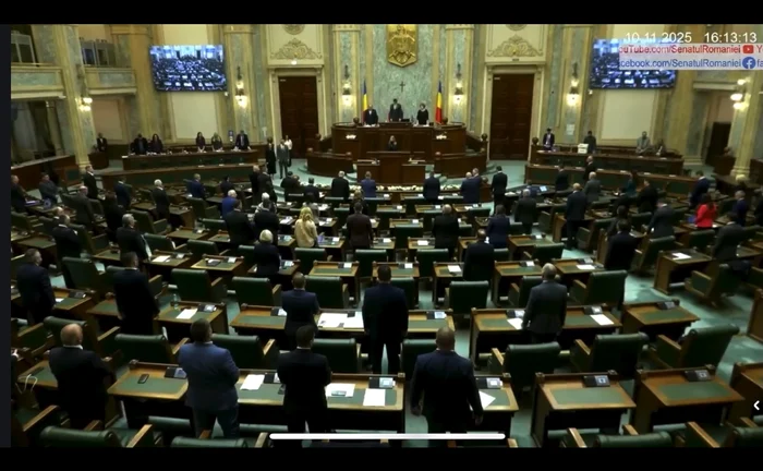 A fost ținut un moment de reculegere în plenul Senatului, în memoria Mihaelei. FOTO: Captură Video