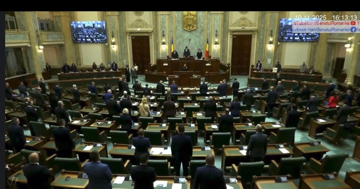 Moment de reculegere în Senatul României pentru victimele femicidului