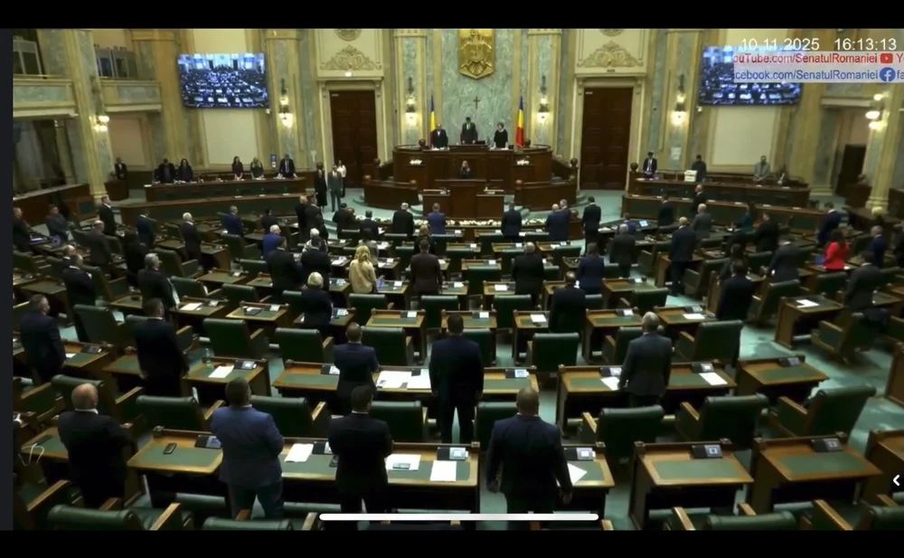 Moment de reculegere în plenul Senatului pentru victimele femicidului din România