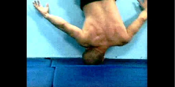staicu viorel karate