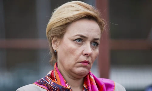 carmen dan ministru de interne jpeg