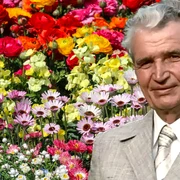 floarea adusa de ceausescu jpg
