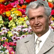 floarea adusa de ceausescu jpg