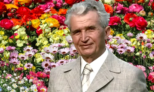 floarea adusa de ceausescu jpg