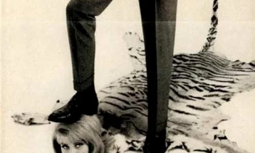 Cum erau umilite femeile în reclamele anilor 60 jpeg