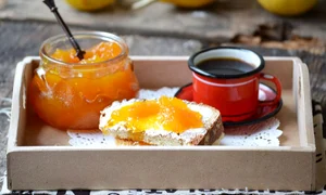 CLIIMA20121209 0070 1 jpeg