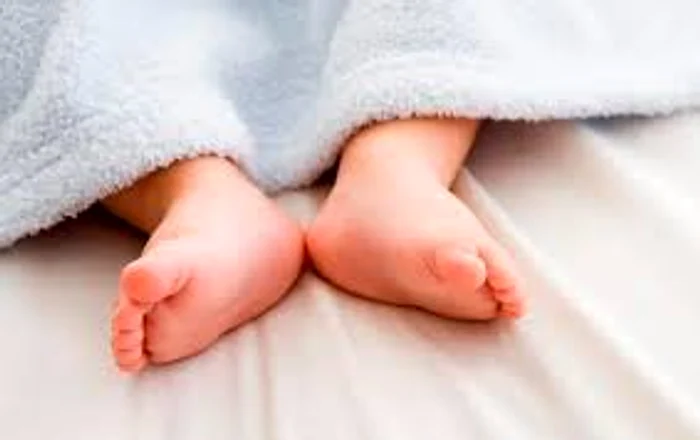 Bebeluşii au fost descoperiţi în două cutii de carton, într-un tomberon