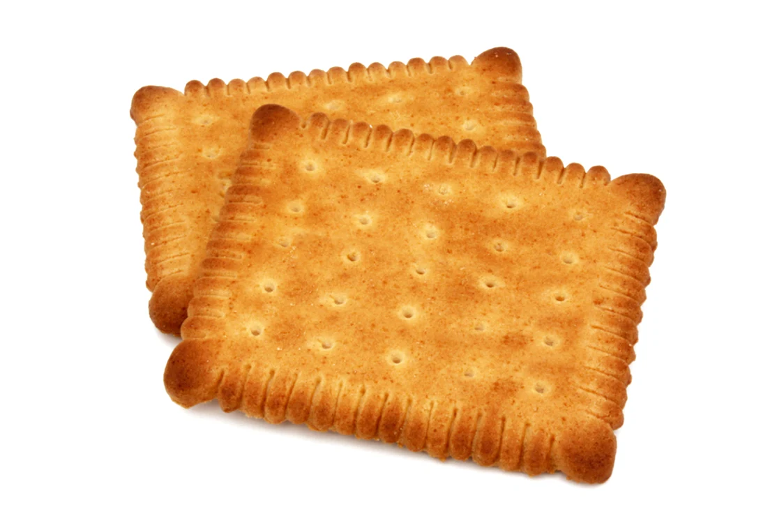 1 shutterstock 1411687844 jpg jpeg