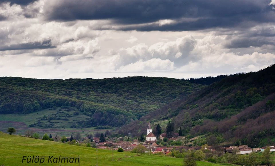 Comuna cu datorii de 1,5 milioane de euro și 48 de angajați: primarul și-a mărit salariul cu 2.300 de lei în doar un an