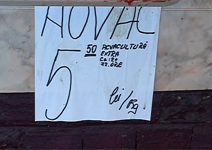 Peşte în pieţele din Brăila. FOTO: NICOLETA BUTNARU