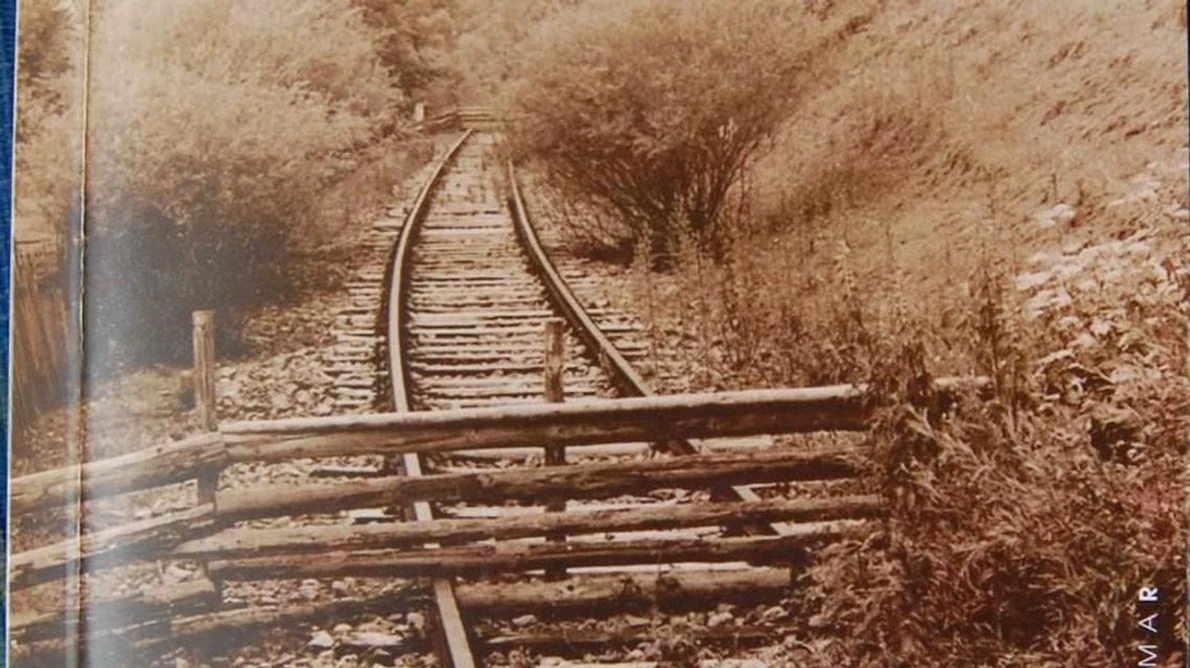 A apărut o carte despre «Basarabeni şi bucovineni în Banat  Povestiri de viaţă» jpeg