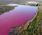 Au colorat laguna Trelew din Argentina in roz pentru a conserva creveţii. FOTO AFP