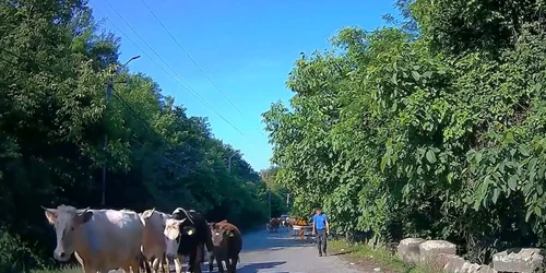 DN73C drumul prin care ministrul Transporturilor Cătălin Drulă vrea să lege Râmnicu Vâlcea de autostrada A1 Sibiu - Piteşti Foto Adevărul