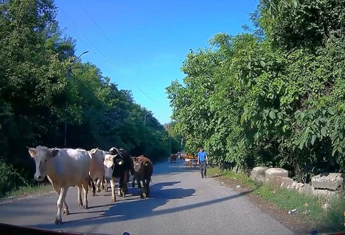 Drum care se vrea expres de legătură între Râmnicu Vâlcea și Autostrada A1 Sibiu - Pitești