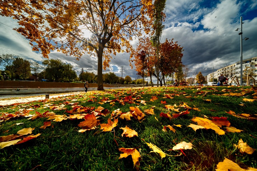 Vremea miercuri, 12 noiembrie. Se încălzește ușor în toată țara