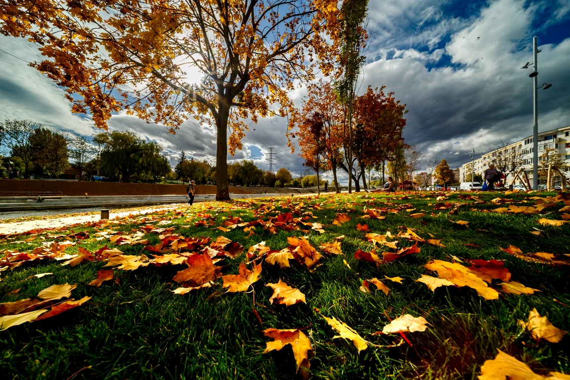 Teamna își intră în drepturi FOTO: Primăria Cluj Napoca