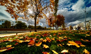 Orasul Cluj Napoca, toamna  Foto Primăria Cluj Napoca Facebook (1) jpg