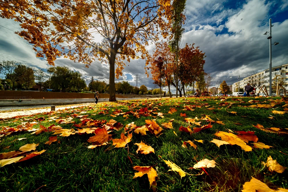 Prognoza meteo pentru următoarele patru săptămâni. Când își va intra toamna în drepturi