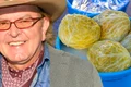 banner ducu bertzi jpg