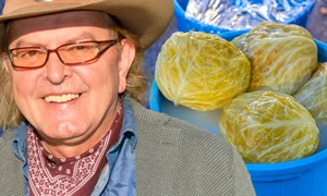 banner ducu bertzi jpg