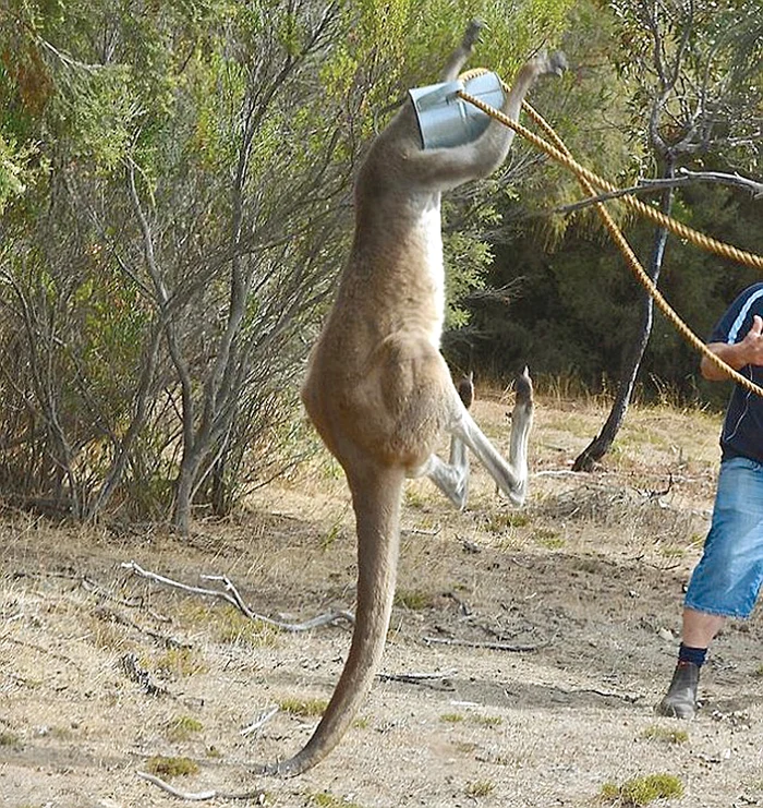 Apoi a început să danseze pe  ritmuri orientale