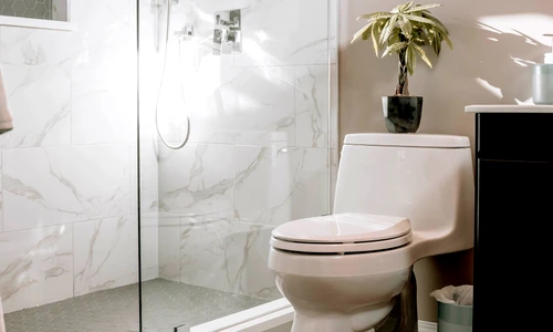 1 alege cu atentie vasul de wc jpg jpeg