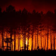 Incendii Franța. FOTO Profimedia