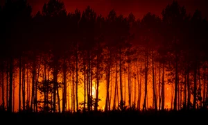 Incendii Franța. FOTO Profimedia