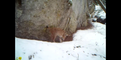 5aba2fdcdf52022f7513fbdc jpg