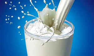 CLIIMA20130321 0057 1 jpeg