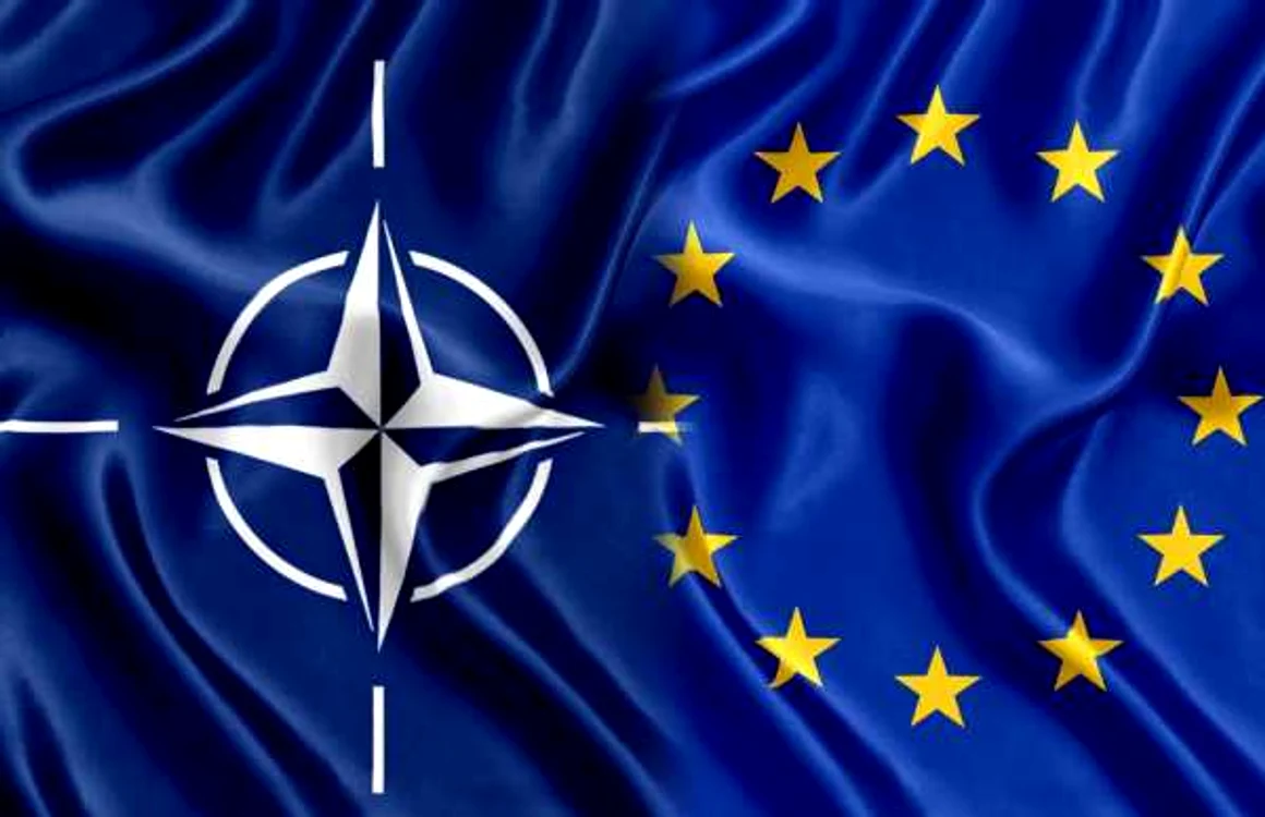 Drapelele NATO ȘI UE FOTO: Shutterstock