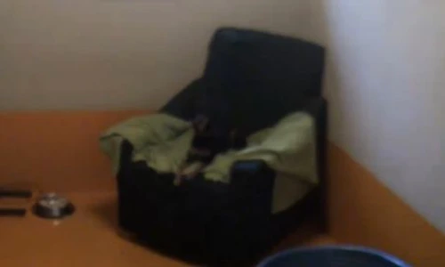 1 50235 original jpg jpeg