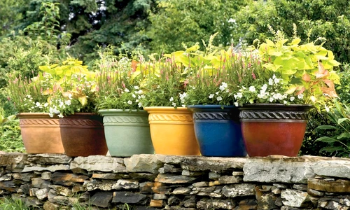 1 75503 original jpg jpeg