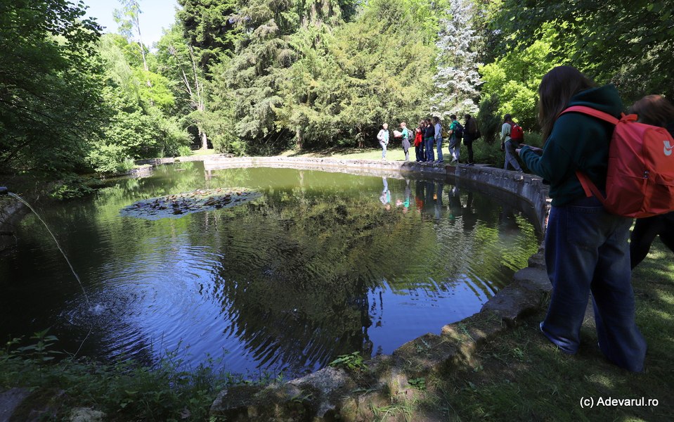 Transformarea celui mai vechi parc dendrologic. Locul de poveste cu sute de arbori uscați și doborâți de furtuni 