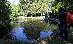 Parcul dendrologic Simeria  Foto Daniel Guță  ADEVĂRUL (36) JPG
