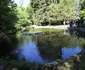 Parcul dendrologic Simeria  Foto Daniel Guță  ADEVĂRUL (36) JPG