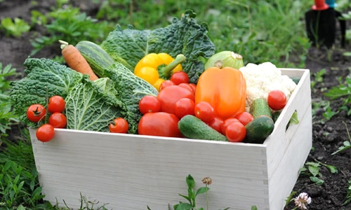 1 63409 original jpg jpeg